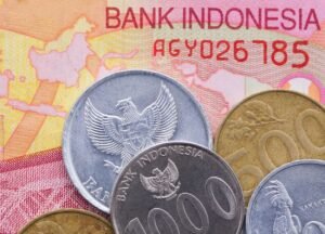INDEF Nilai Kepastian Pajak Jadi Kunci Daya Tarik Investasi Indonesia - BeritaSatuWorld.com