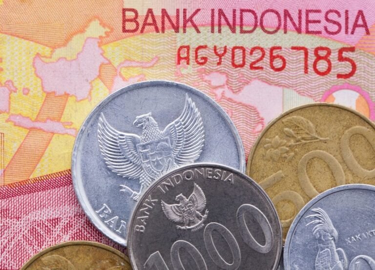 INDEF Nilai Kepastian Pajak Jadi Kunci Daya Tarik Investasi Indonesia