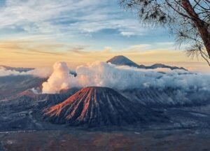 Menhut Serahkan Penyelidikan Karhutla Bromo kepada Aparat Penegak Hukum - BeritaSatuWorld.com
